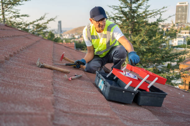 Best Carpet Removal and Disposal  in Willards, MD